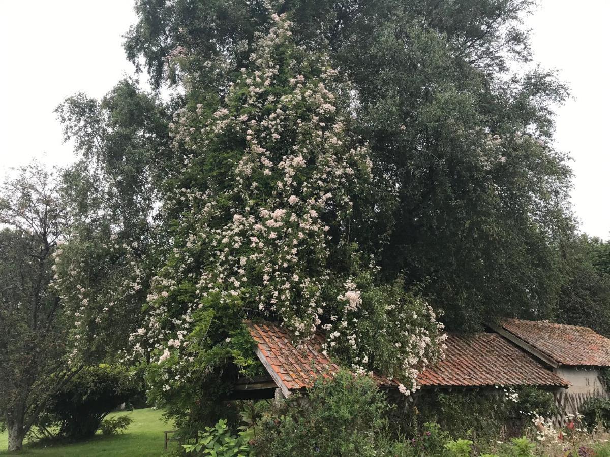 Le Jardin Sauvage Bed and Breakfast Maintenay Buitenkant foto