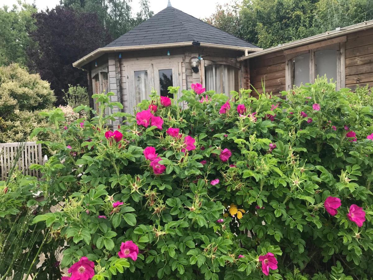 Le Jardin Sauvage Bed and Breakfast Maintenay Buitenkant foto