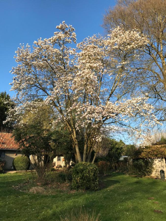Le Jardin Sauvage Bed and Breakfast Maintenay Buitenkant foto