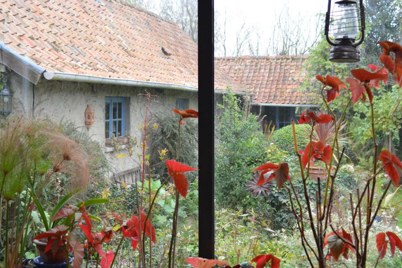 Le Jardin Sauvage Bed and Breakfast Maintenay Buitenkant foto
