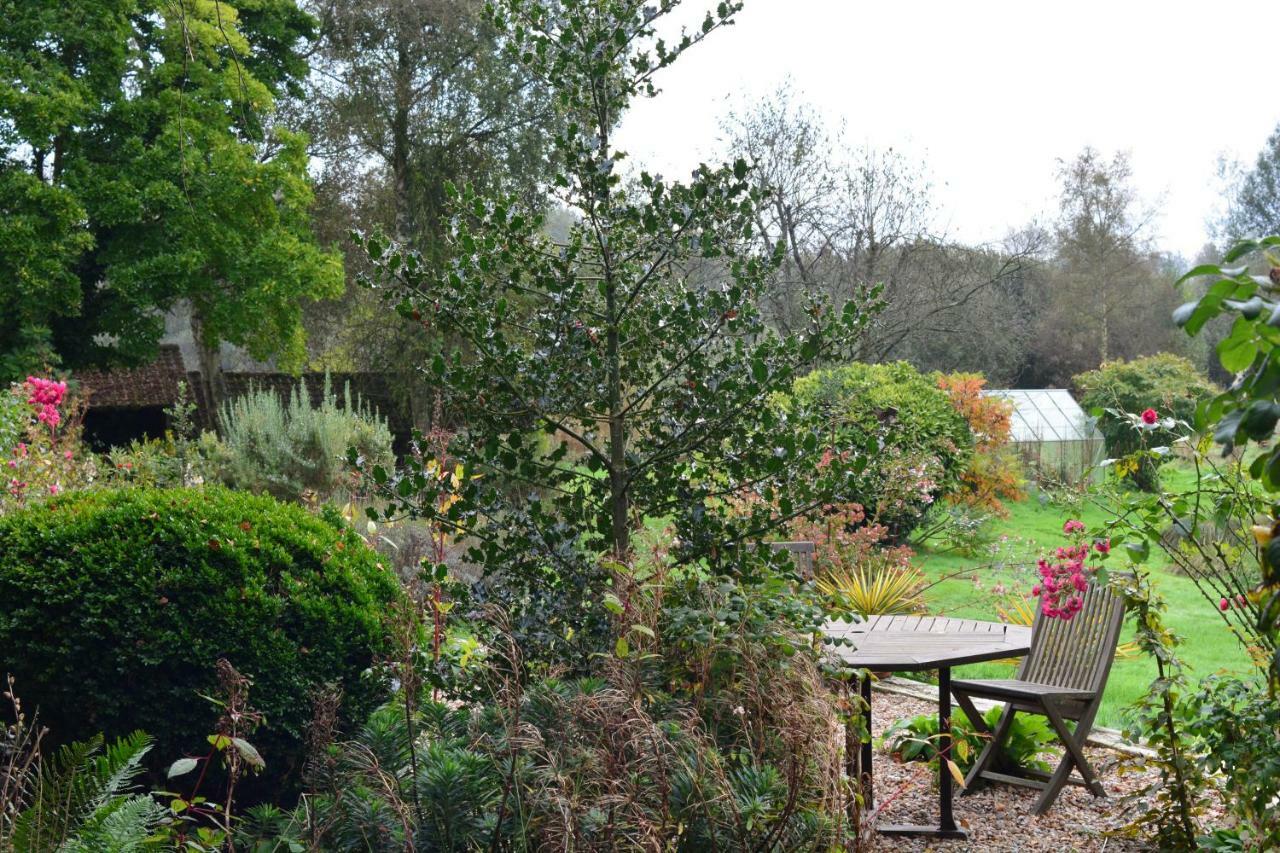 Le Jardin Sauvage Bed and Breakfast Maintenay Buitenkant foto