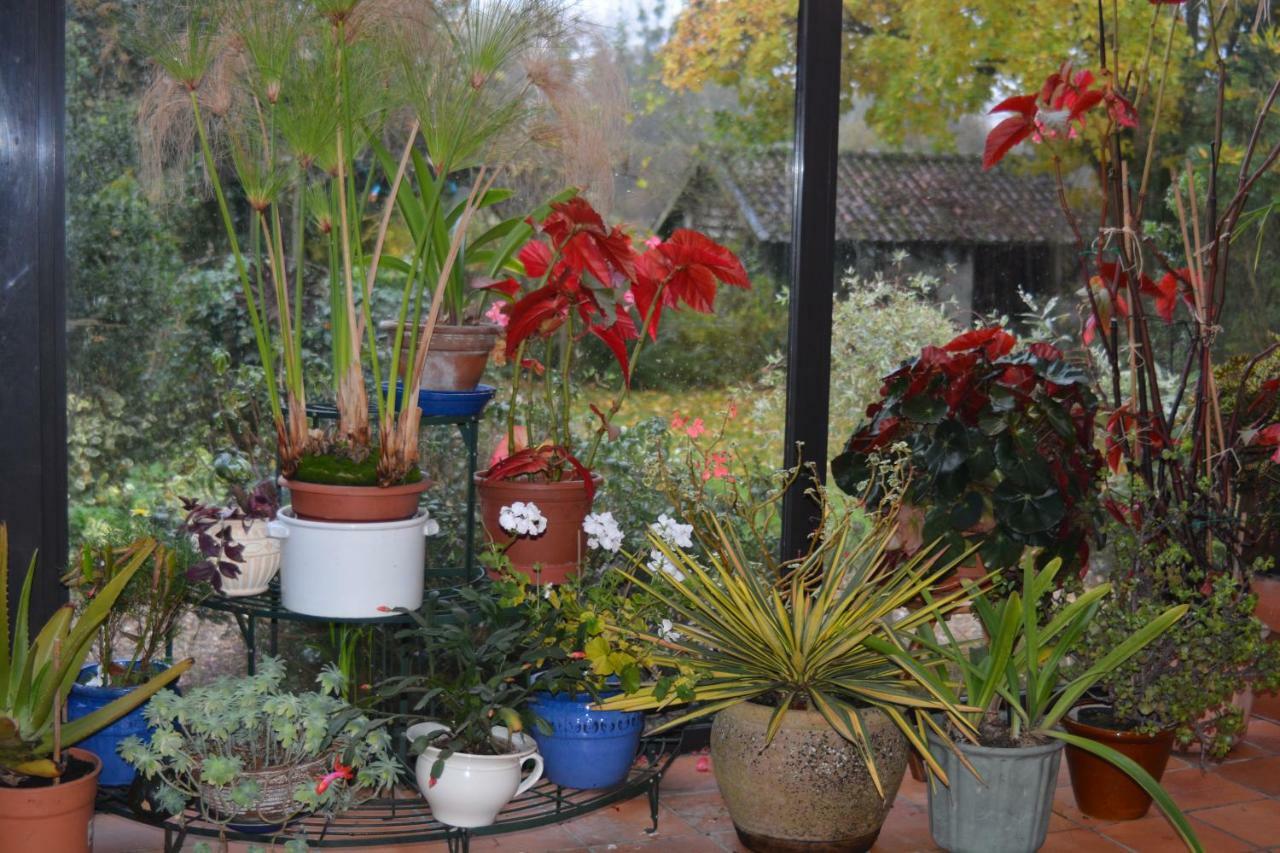 Le Jardin Sauvage Bed and Breakfast Maintenay Buitenkant foto