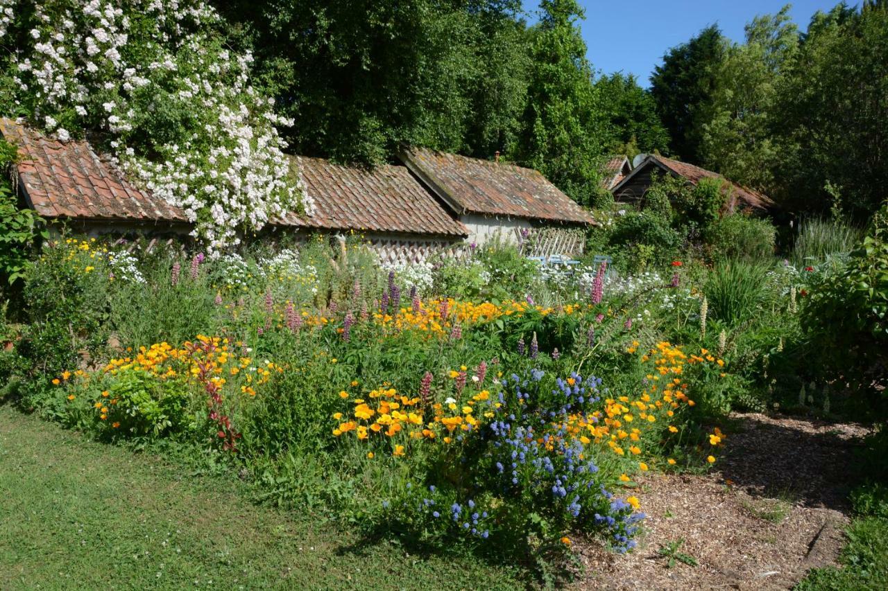 Le Jardin Sauvage Bed and Breakfast Maintenay Buitenkant foto