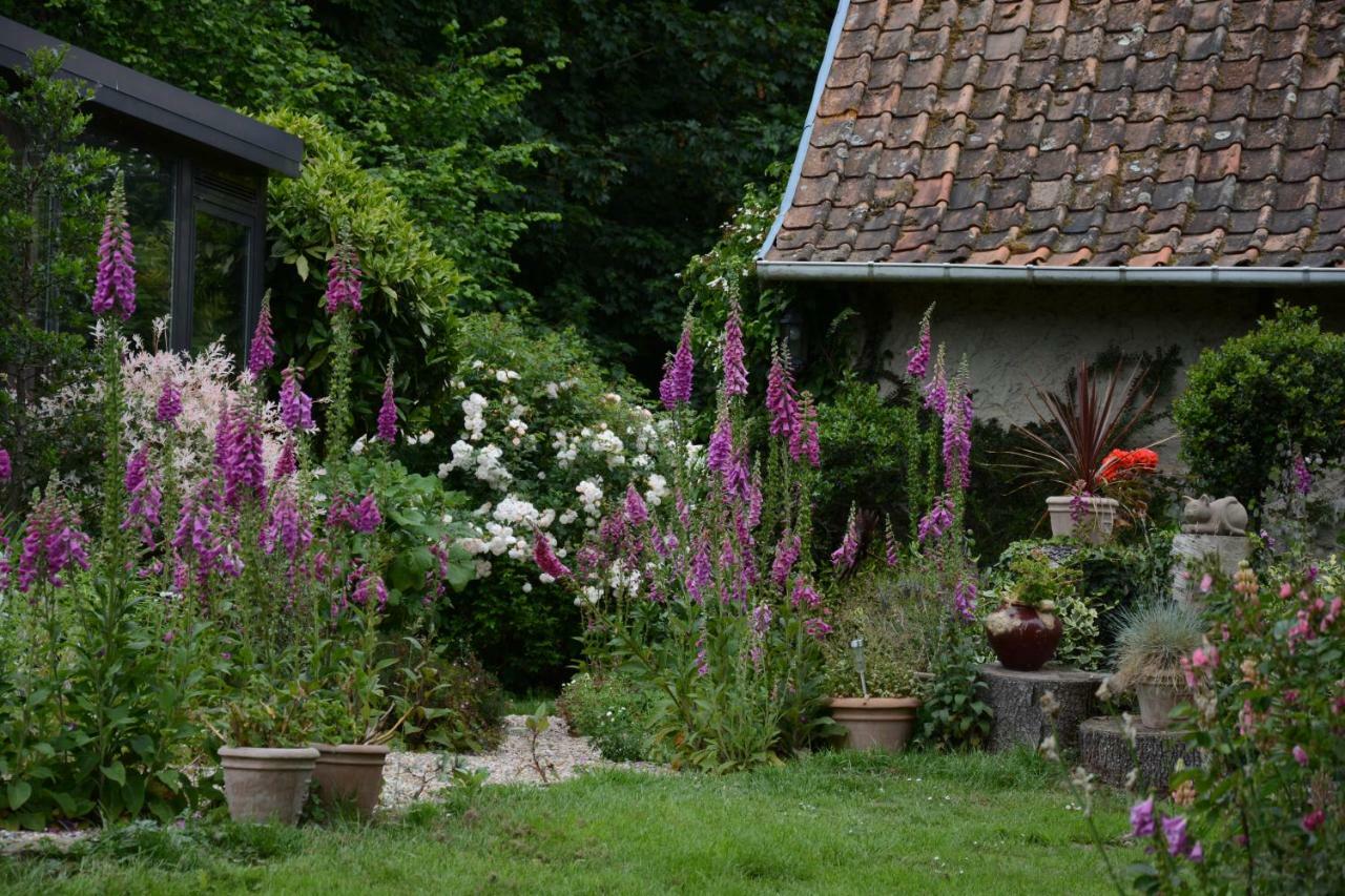 Le Jardin Sauvage Bed and Breakfast Maintenay Buitenkant foto