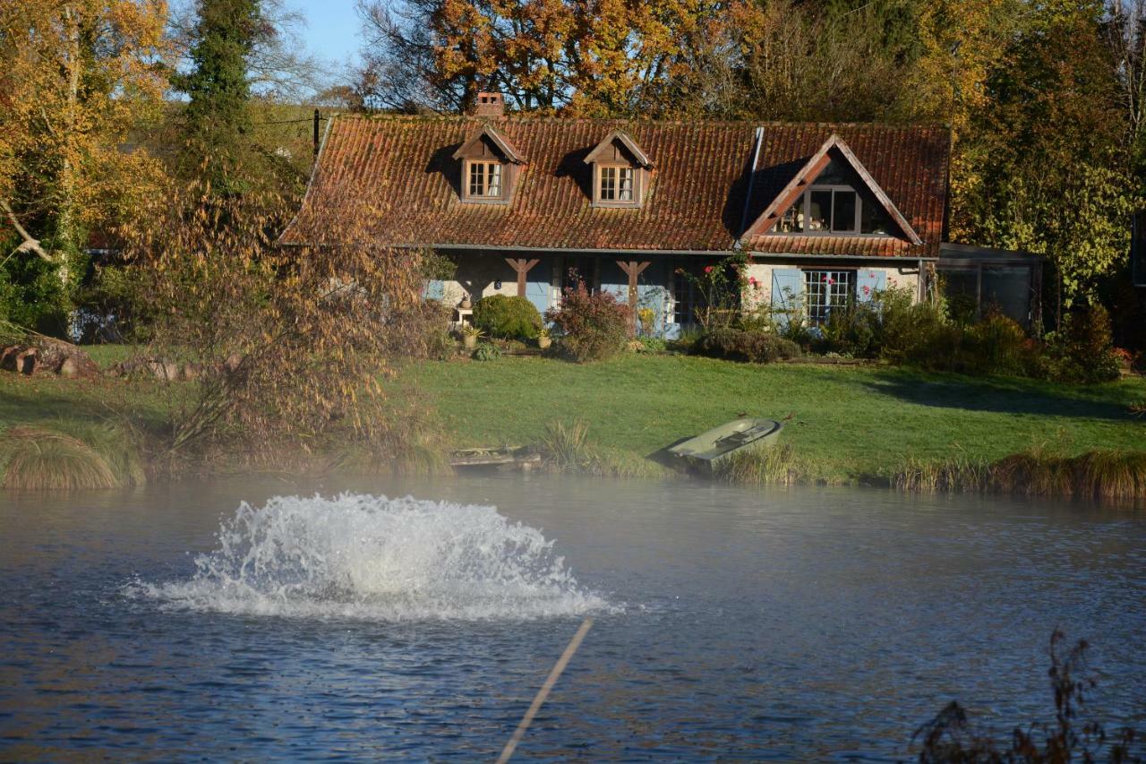 Le Jardin Sauvage Bed and Breakfast Maintenay Buitenkant foto